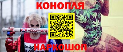 СК Будённовск