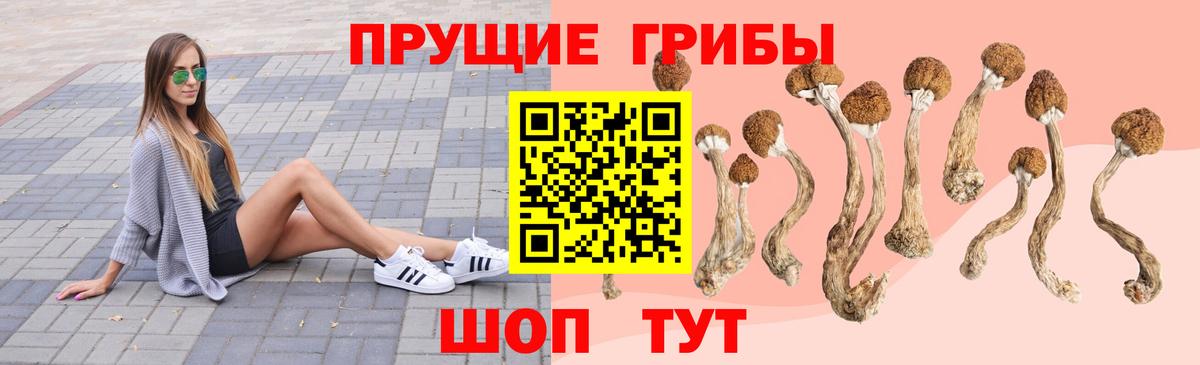 Галлюциногенные грибы мухоморы  Галлюциногенные грибы Psilocybine cubensis  Костомукша  Вход с VPN 